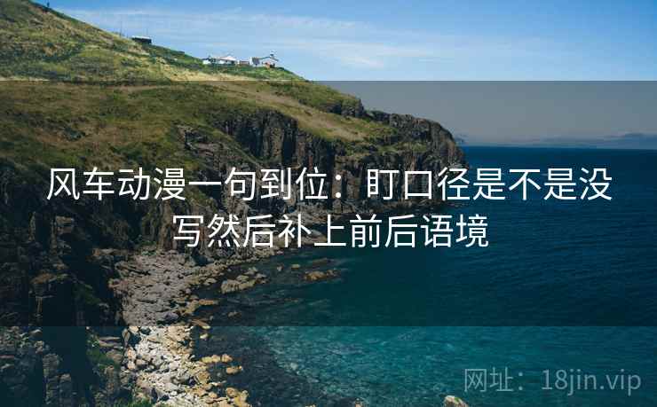 风车动漫一句到位：盯口径是不是没写然后补上前后语境