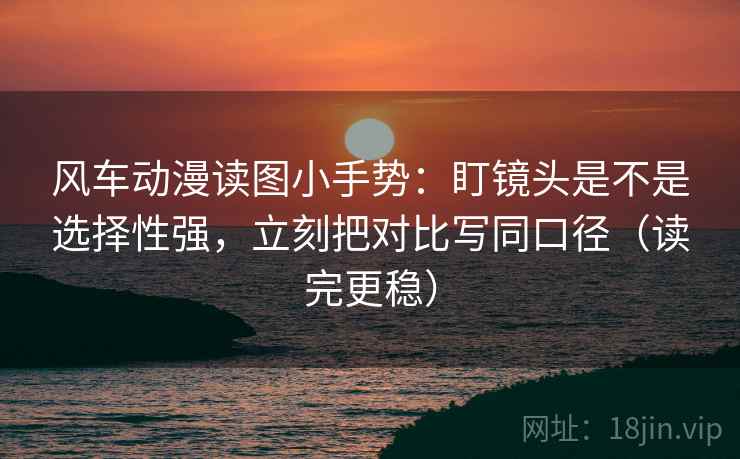 风车动漫读图小手势：盯镜头是不是选择性强，立刻把对比写同口径（读完更稳）